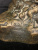 Скульптура  «Кабан» Франция, Париж, последняя треть 19 века, автор Chistophe Fratin (1801-1864)